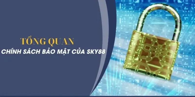 Phạm vi của chính sách đang áp dụng