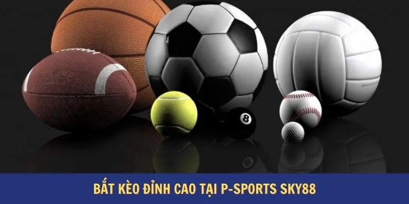 Bắt kèo đỉnh cao tại P-sports Sky88