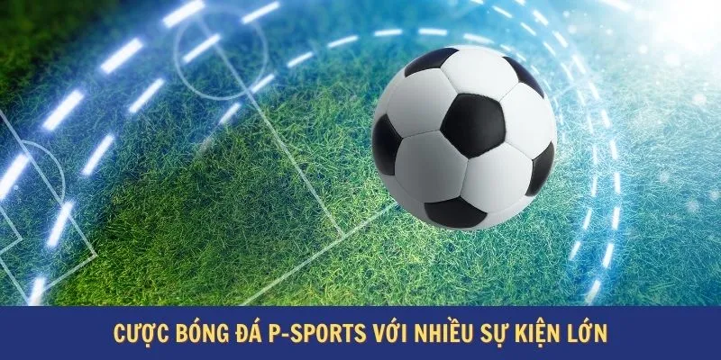 Cược bóng đá P-sports với nhiều sự kiện lớn