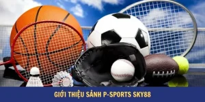 p-sports sky88