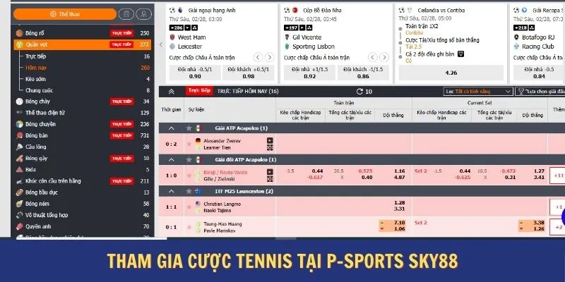 Tham gia cược Tennis tại P-sports Sky88
